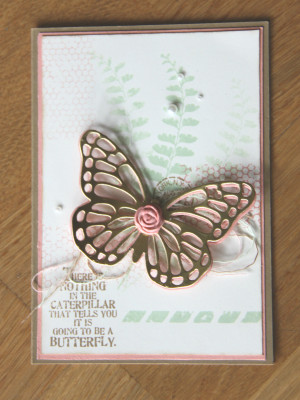 2015_02_creativeJax_butterfly_basics